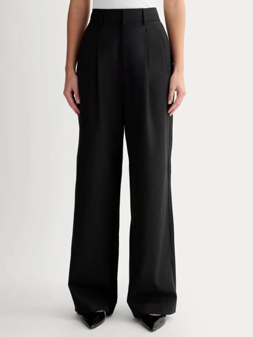 Everlane Draper Pleated Pant in Buttersmooth - Picture 2 of 6